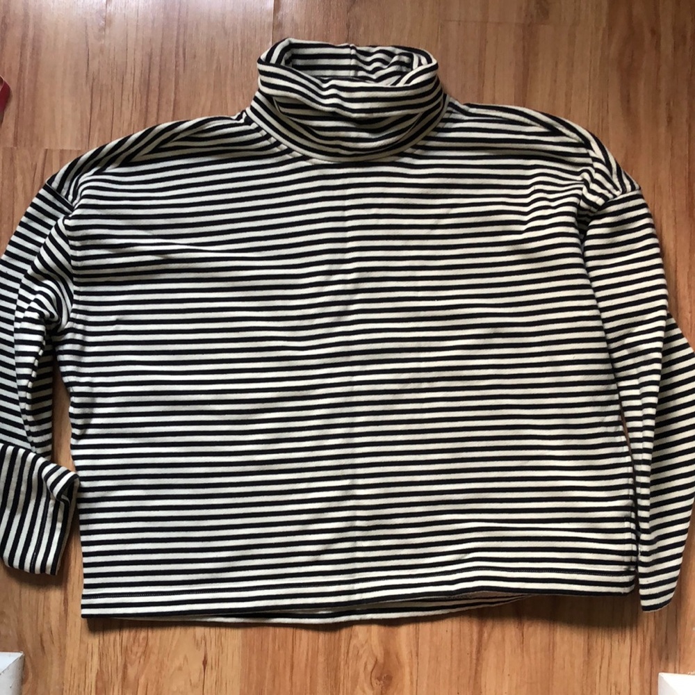 Everlane striped turtleneck sweatshirt